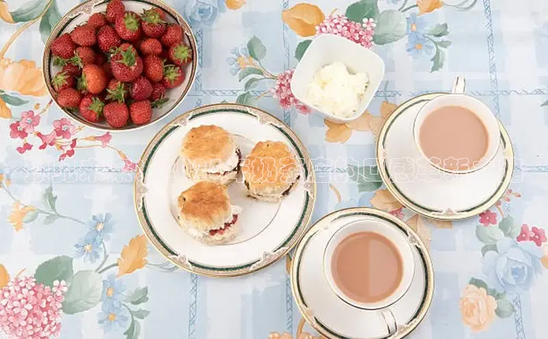 ng28官网入口下载